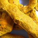 dry-turmeric-roots-barks-isolated-white-background-top-view-still-life-copy-space-flat-lay-close-up
