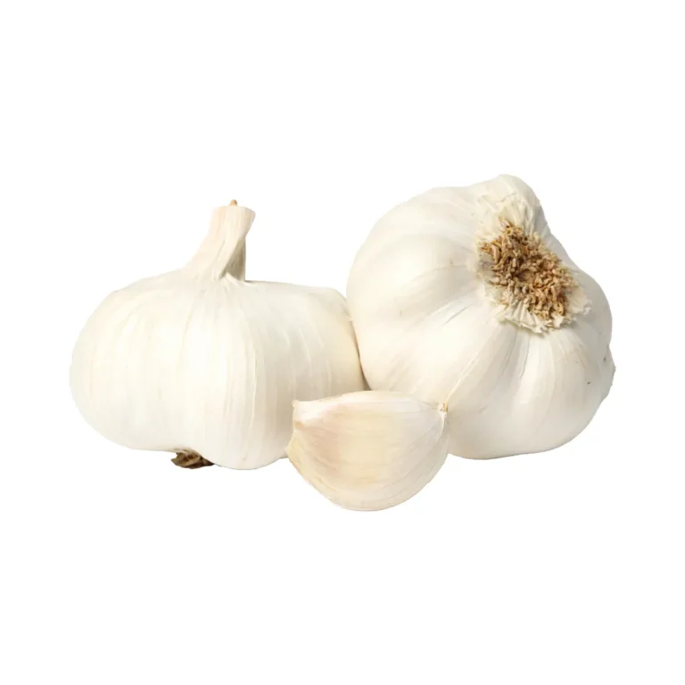 garlic