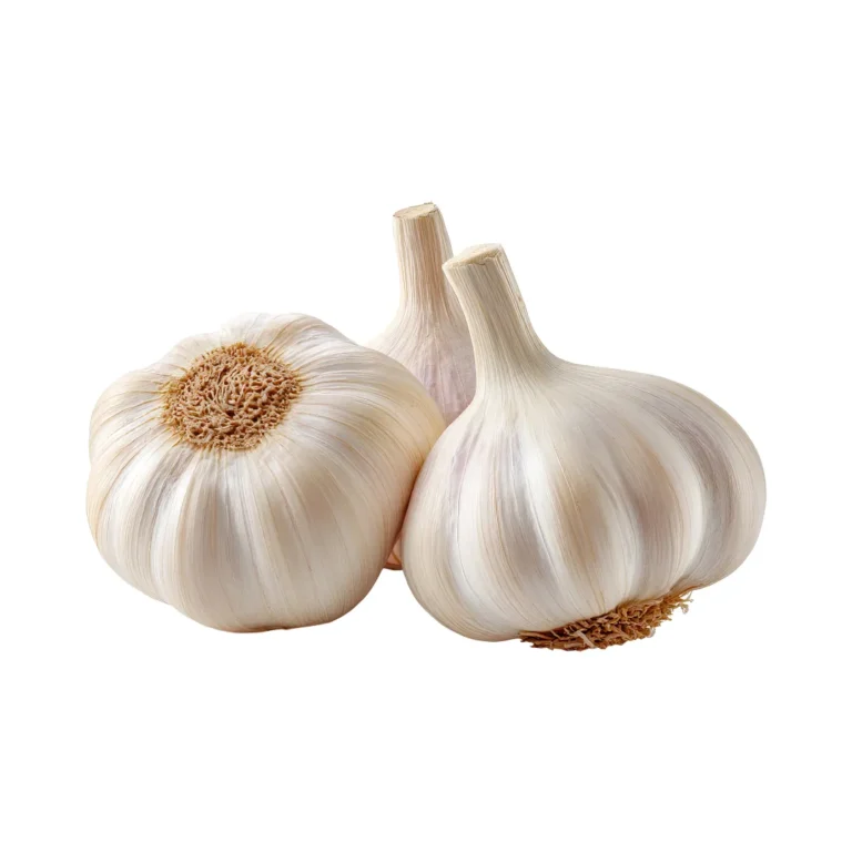 garlic2