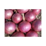 onion.png2