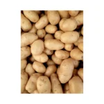 potato