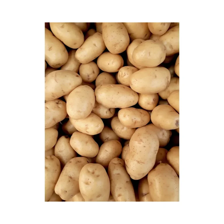 potato