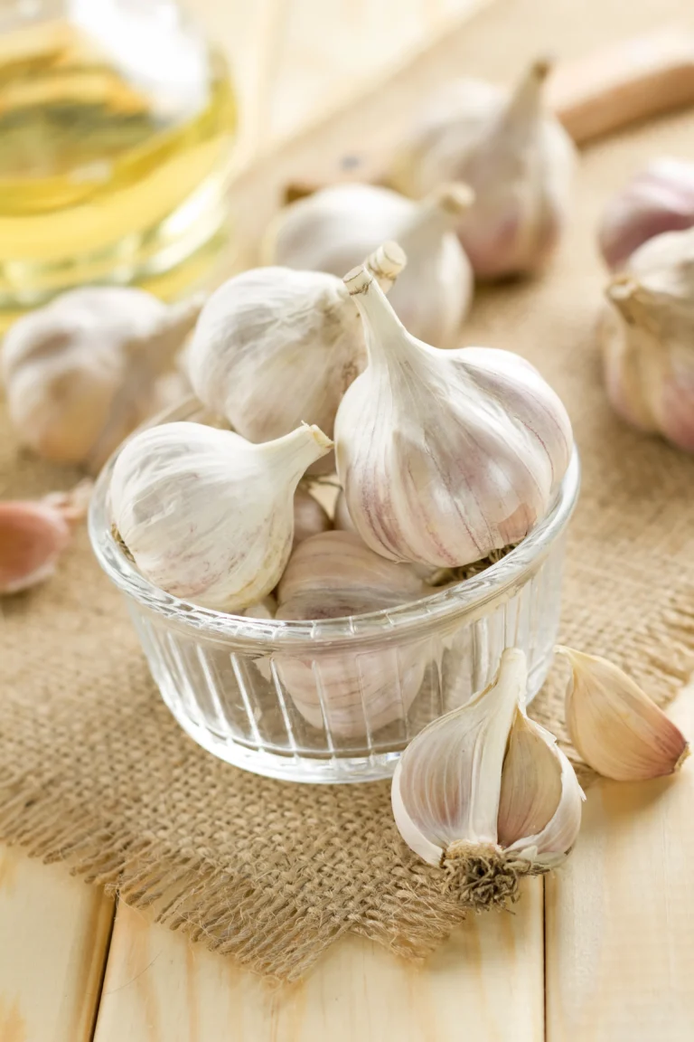 shutterstock_121284631