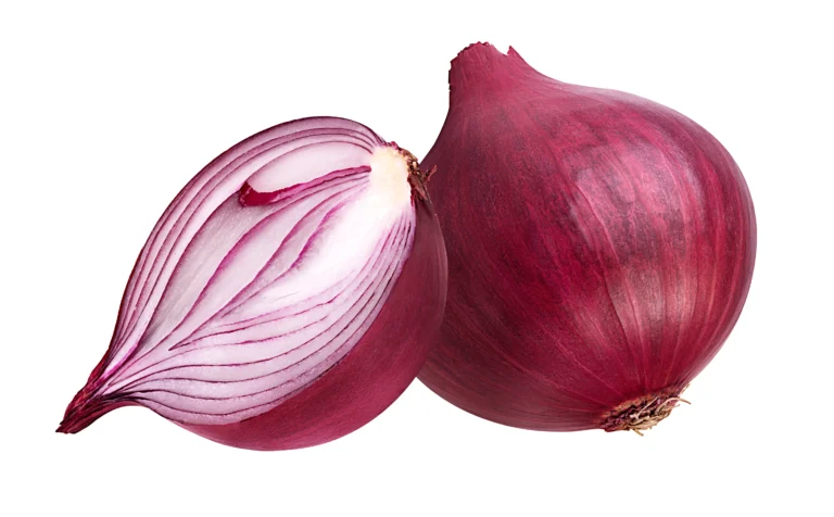 shutterstock_1737907889