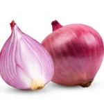 shutterstock_2298377115