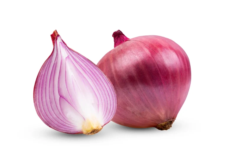 shutterstock_2298377115